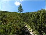 Rudno polje - Debeli vrh above Lipanca